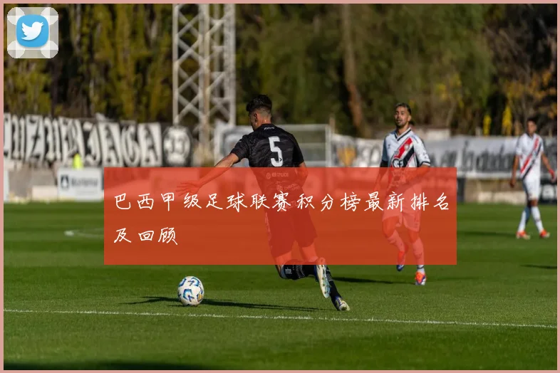 巴西甲级足球联赛积分榜最新排名及回顾