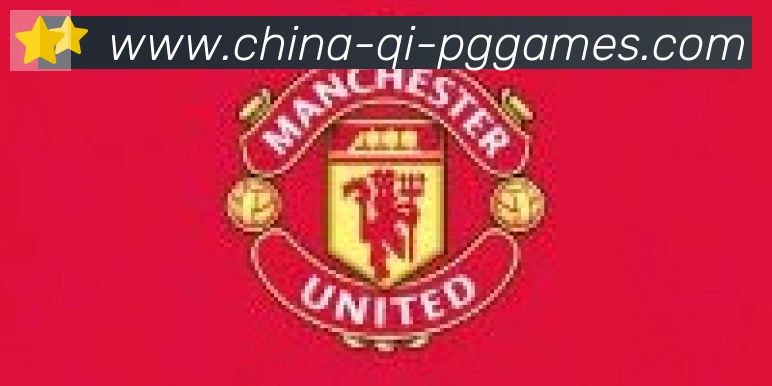 PG模拟器官方网站合作伙伴