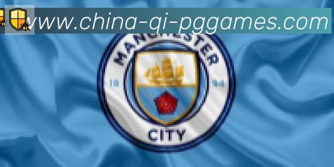 PG模拟器官方网站合作伙伴